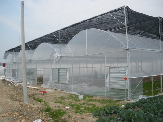 Protezione orticola 80% di Sun della pianta della scuola materna dell'HDPE del reticolato all'aperto dell'ombra agro
