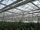 Panno dell'ombra di Sunblock trattato 55% per lo schermo economizzatore d'energia netto della serra della tonalità di alluminio delle piante