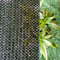 Anti rete uv verde del parasole dell'HDPE per le piante di giardino domestiche del balcone