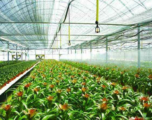 Agro rete dell'ombra di Agri 80 per cento
