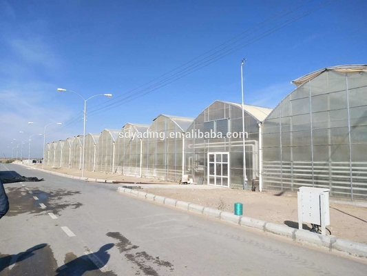 Agro rete dell'ombra di Agri 80 per cento