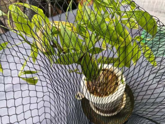 L'anti airone Koi Fish Pond Net Protection dello stagno copre l'HDPE di 20ft x di 15ft