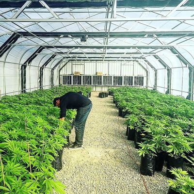 Reticolato di plastica dell'ombra di Agri del patio all'aperto di 60% per l'orto