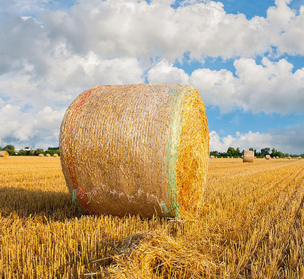 UV della plastica dell'involucro della rete della balla 8.33GSM anti con la linea d'avvertimento
